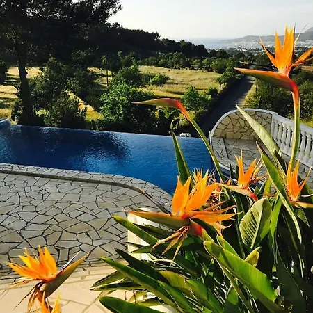 Dos Monos Villa San Antonio (Ibiza)